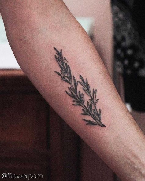 Rosemary Tattoo, Herb Tattoo, Culinary Tattoos, Chef Tattoo, Food Tattoos, Script Tattoo, Branch Tattoo, Cat Tattoos, Plant Tattoo