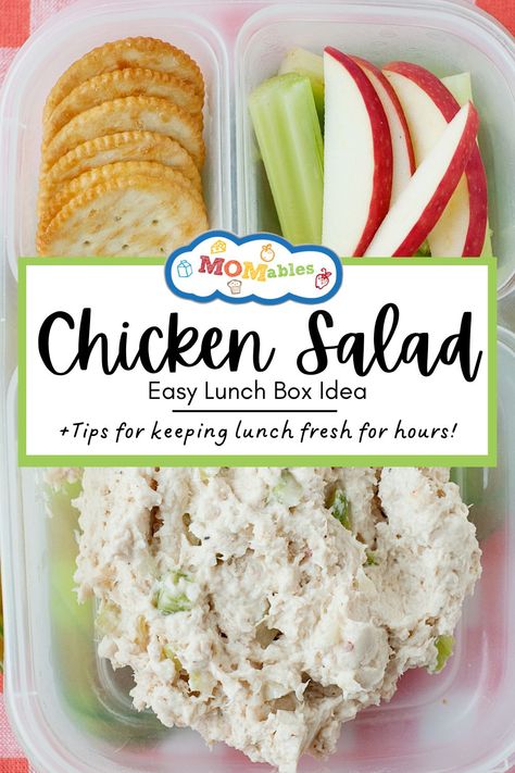 A bento box with chicken salad, apple slices, celery slices, and crackers of your choice Easy Protein Packed Lunches For Work, Work Day Lunches, Healthcare Lunch Ideas, Packed Lunch Ideas For Work Meal Prep, On The Go Lunches No Heat, Chicken Salad Lunch Box Lunchbox Ideas, Nursing School Lunch Ideas, Cold Packed Lunch Ideas For Work, Protein Cold Lunch