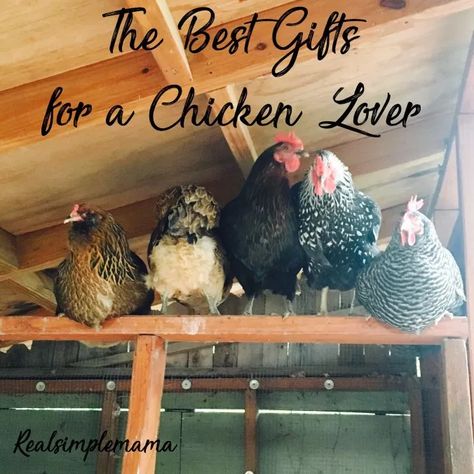 Chicken Mom, Chicken Lover Gifts, Useful Ideas, Chicken Lovers, What To Buy, A Chicken, Real Simple, Chicken Coop, Coop