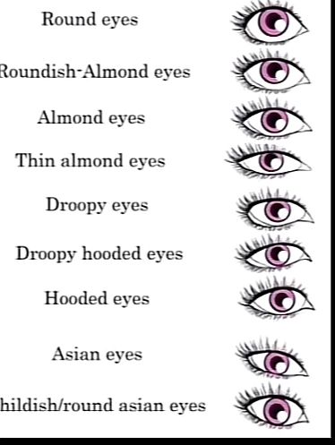 Eye Shape Chart Types Of, Eye Shape Chart Drawing, Different Eye Shapes Reference, Types Of Eyes Shapes Men, Eyes Shapes Chart, What Eyes Do I Have, Different Eye Shapes Charts, Eye Type Shape, Eye Type Chart