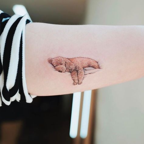 Beauty Lies In Simplicity: Minimalist Animal Tattoos Created At Sol Tattoo Parlor - KickAss Things Weimaraner Tattoo, Schnauzer Tattoo, Poodle Tattoo, Tatoo Dog, Small Dog Tattoos, Be Brave Tattoo, Tier Tattoo, Dog Memorial Tattoos, Tattoo Dog