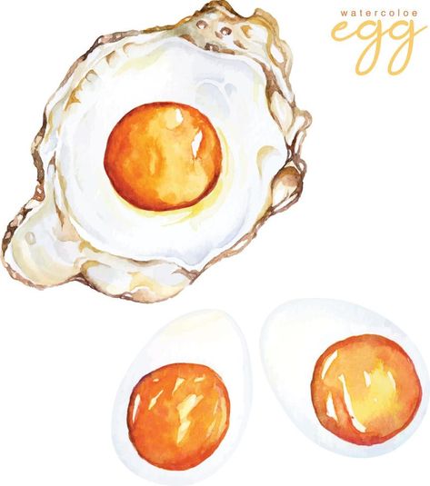 Hand draw fried egg and boiled egg with watercolor.American breakfast.Protein foods for health care. Fried Egg Drawing, Egg Watercolor, Breakfast Protein, American Breakfast, Care Care, Boiled Egg, Hand Draw, Food Illustration, Fried Egg