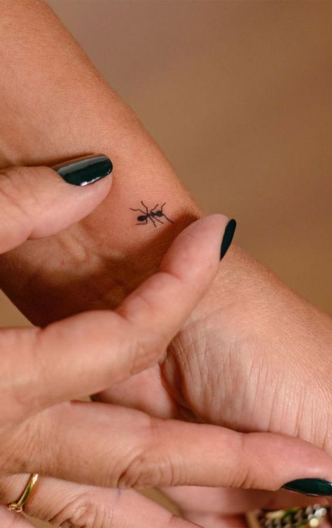 Simple Deep Meaning Tattoos, Deep Simple Tattoos, Tiny Ant Tattoo, Insect Finger Tattoo, Small Ant Tattoo, Ant Tattoo Small Cute, Ant Tattoo Design, Tiny Insect Tattoo, Ant Tattoo Cute