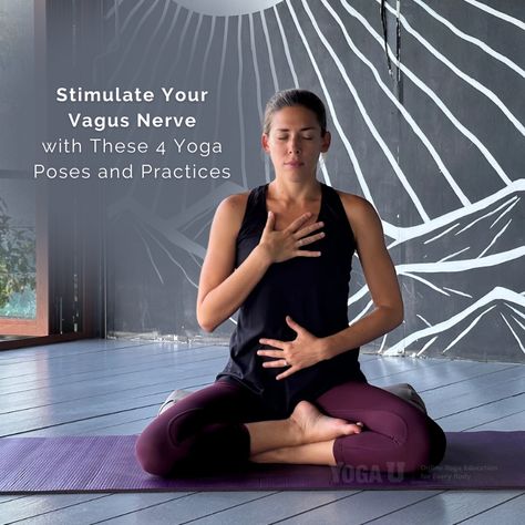 Stimulate Your Vagus Nerve With These 4 Yoga Poses and Practices https://yogauonline.com/yoga-health-benefits/yoga-for-stress-relief/stimulate-your-vagus-nerve-with-these-4-yoga-nerve-yoga-poses-and-practices/   #yogaforstress #yogaforanxiety #yogaforstressrelief #yogapractice #yogagirl #yogastudio #yogajourney #yogacommunity #meditation #yogalove #yoga #yogateacher #meditate #yogalife Vagus Nerve Yoga Sequence, Vagus Nerve Yoga, Yoga Health Benefits, Yoga Education, Yoga Articles, Restorative Yoga Poses, Parasympathetic Nervous System, Vagus Nerve, Yoga Sequence