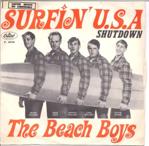 The Beach Boys, Surfin' USA Picture Sleeve The Beach Boys Aesthetic, The Beach Boys Poster, Beach Boys Poster, David Marks, Beach Boys, Dennis Wilson, Mike Love, Boys Posters, The Beach Boys