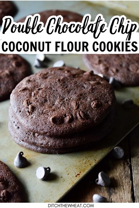 These Double Chocolate Chip Coconut Flour Cookies are grain-free and nut-free. They make a great gluten-free cookie to give to kids. Learn my secret trick for making coconut flour cookies crispy. https://www.rfr.bz/pljjxcp Gluten Free Cookies Almond Flour, Gluten Free Kids Party Food, Gluten Free Kids Snacks, Coconut Flour Chocolate Chip Cookies, Gluten Free Cookies Easy, Coconut Flour Cookies, Gluten Free Peanut Butter Cookies, Baking With Coconut Flour, Coconut Flour Recipes