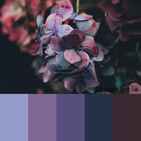 Hydrangea - An elegant, cool color palette based on the stunning hydrangea flower Hydrangea Colour Palette, Hydrangea Colors, Cool Color Palette, Colour Theory, Color Wow, Flower Art Images, Wedding Color Palette, Hydrangea Flower, City House