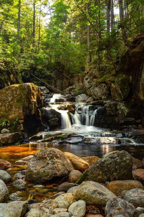 Forest Waterfall Photography, Waterfall Reference Photo, Beautiful Waterfalls Photography, Waterfalls Photos, Stream Waterfall, Waterfall Photos, Waterfall Mountain, Waterfall Forest, Water Forest