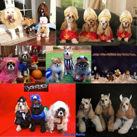 Halloween costumes for groups of dogs. Group Dog Costumes, Group Dog Halloween Costumes, Dog Group Costumes, Costumes For A Group, Costume Ideas For Dogs, Halloween Costumes For Groups, Costumes For Groups, Best Group Costumes, Puppy Halloween Costumes