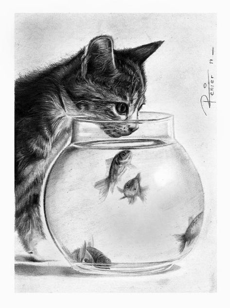 Artwork by reniervivas666 (deviantart) Realistic Animal Drawings, Animal Drawings Sketches, Cat Sketch, Art Drawings Sketches Pencil, Charcoal Art, Beauty Art Drawings, Pencil Art Drawings, Dessin Adorable, Animal Sketches