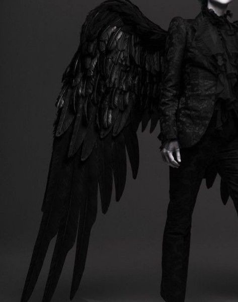 gabriel nox |ruthless boys of the zodiac by caroline peckham & susanne valenti| Black Angel Costume, Dark Angel Costume, Demon Costume, Demon Wings, Black Angel Wings, Fashion Make Up, Angel Man, Angel Costume, Ange Demon