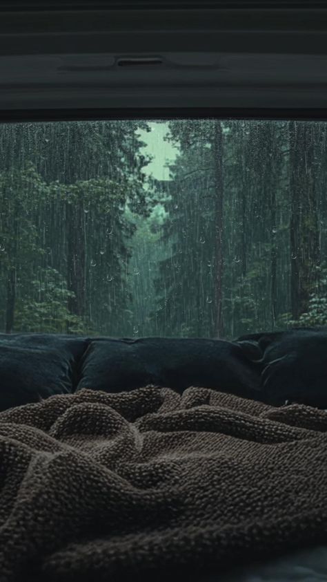 Sleep Instantly in a Cozy Car during Soft Rain outside | #shorts #rain #sleep #carcamping #rainsounds

It’s raining, park on a quiet forest road to rest after a long drive. Grab an interesting book on the couch in your travel car.
The raindrops falling on the windows and the roof of the car make the most soothing raining sound helping you with stress relief, instantly sleep, and get relaxed.


---------------------
Don't forget to like this video and subscribe!
©Raining Sound Of Nature | @raining sound of nature 
https://youtube.com/@raining-sound-of-nature 

#rain, #raining, #raining_sounds, #heavy_rain, #softing_rain, #soft_rain
#rain_on_roof, #window_rain, #cozy, #forest, #in_the_forest
#sleep, #sleeping, #studying, #study, #meditation, #camping Rain Ambience, Rain Sleep, Calming Meditation, Relaxing Sleep Music, Rain And Coffee, Relaxing Background, Relaxing Rain, Relaxing Rain Sounds, Cozy Rainy Day