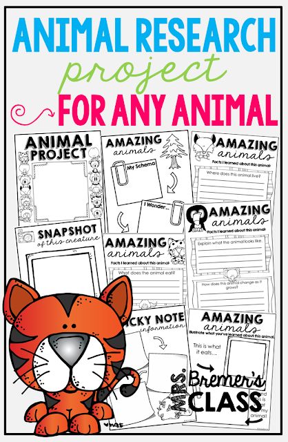 Animal Research Projects {for ANY animal} Research Project Template, Animal Research Project, Research Template, Grade 2 Science, Animal Research, Animal Report, Second Grade Science, Project Template, Animal Adaptations