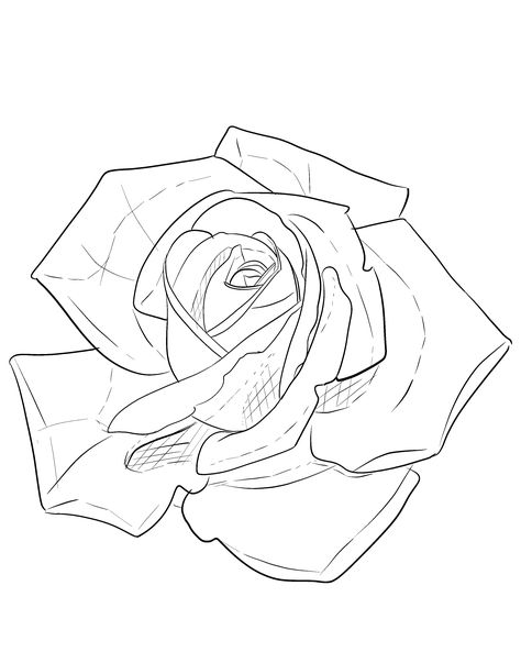 Banner Tattoo Design, Banner Tattoo, Jesus Tattoo Design, Rose Tat, Oni Tattoo, Flower Stencils, Rose Drawing Tattoo, Stencil Outline, Roses Tattoo