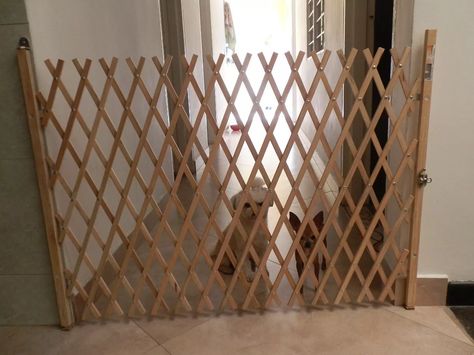 rejas plegables en madera para mascotas/bebes Diy Projects Pvc Pipes, Diy Gate, Dog Kennel Designs, Pet Area, Baby Gate, Ideas Casa, Dog Fence, Dog Door, Baby Proofing