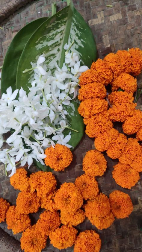 Desi Orange Aesthetic, Moodboard Elements, Marigold Aesthetic, Indian Marigold, Temple Aesthetic, Colours Aesthetic, India Aesthetic, Marigold Wedding, Ace Logo