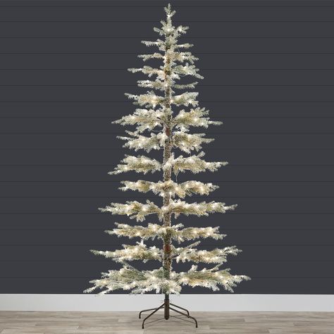 Sparse Christmas Tree, Fair Booth, Fir Christmas Tree, Conifer Trees, Christmas Tree Stand, Booth Display, Amazon Store, Metal Stand, Tree Stand