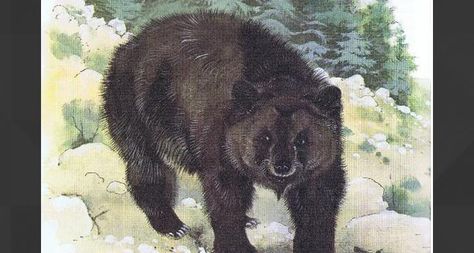 Atlas Bear Uncommon Animals, Atlas Bear, Paleo Art, Bear Pictures, Extinct Animals, Prehistoric Animals, The Atlas, African Animals, Animals Of The World