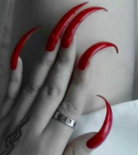 Nails Really Long, Alt Long Nails, Long And Strong Nails, Long Strong Nails, Xxl Nails, Hollywood Nails, Long Nails Long Lashes Meme, Long Fingernails, Long Stiletto Nails