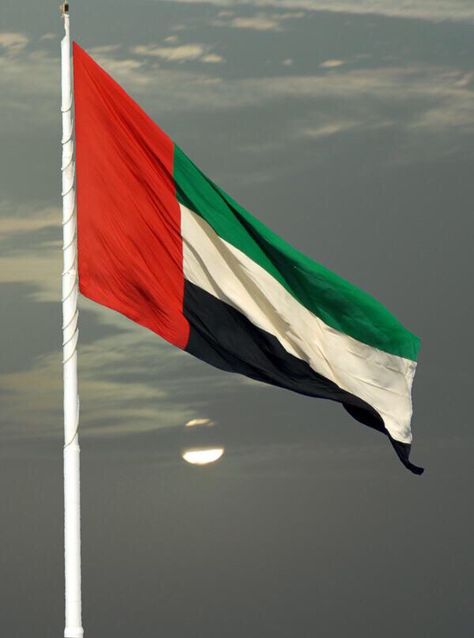 Uae Flag Aesthetic, Mecca City, United Arab Emirates Flag, Emirates Flag, Uae Flag, الإمارات العربية المتحدة, Arabian Peninsula, National Day, Arab Emirates