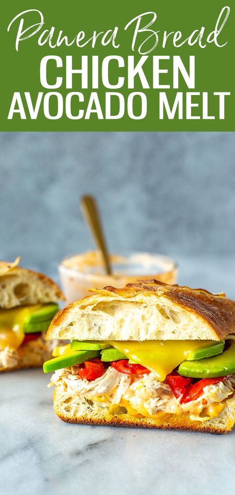 Panera Bread Sandwiches, Panera Sandwich Recipes, Chipotle Chicken Avocado Melt, Chicken Avocado Melt, Entertaining Meals, Avocado Melt, Sandwich Melts, Panera Recipes, Panera Copycat