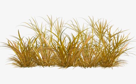 Hay Clipart, Plant Png, Png Transparent Background, Contest Design, Png Transparent, Art And Design, Aesthetic Art, Black Backgrounds, Background Images