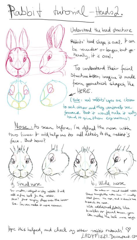 Rabbit Drawing Tutorial, Rabbit Illust, Easter Sketches, Hare Cartoon, Rabbit Anatomy, Rabbit Drawing, Tutorial Drawing, Drawing Heads, Rabbit Art