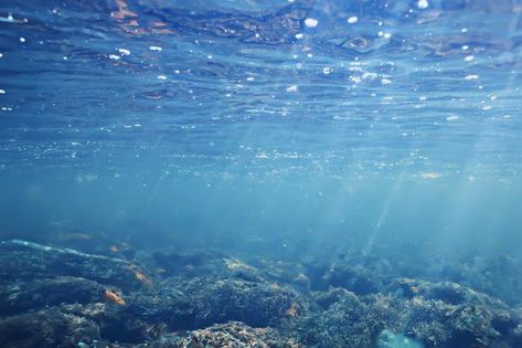 Water Aesthetic Laptop Wallpaper, Underwater Background Landscape, Water Aesthetic Horizontal, Ocean Laptop Background, Ocean Desktop Wallpaper Aesthetic, Water Presentation Design, Water Aesthetic Wallpaper Laptop, Water Background Landscape, Blue Slideshow Background