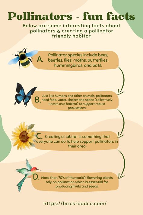 Fun Facts About Pollinators - Much of the worlds flowering plants depend on pollinators, and we can help them by creating pollinator habitats! Pollinator Lessons For Kids, School Pollinator Garden, Pollinators Activities, Pollinator Activities For Kids, Pollinator Activity, Pollinators Poster, Pollinator Garden Design, Sponge City, Conservation Activities