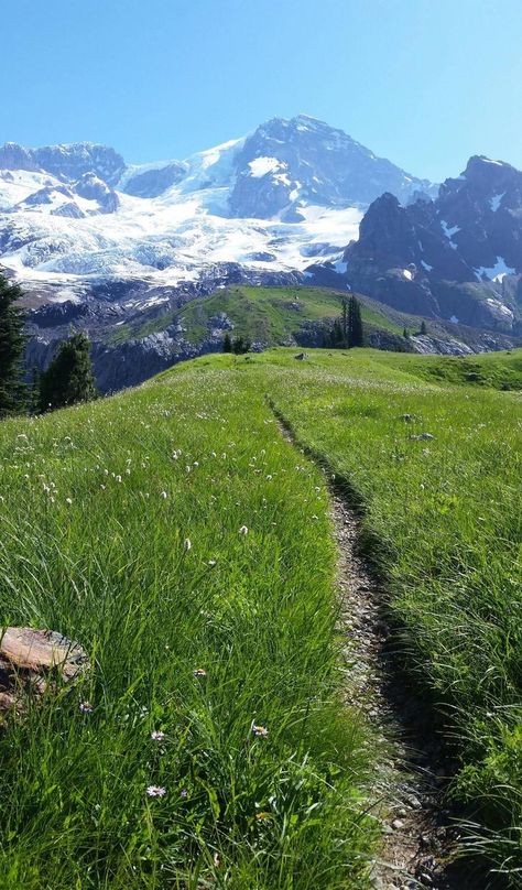 Wonderland Trail, Mt Rainier, Airbrush Art, Foto Art, Alam Yang Indah, Nature Aesthetic, Pretty Places, Nature Travel, Amazing Nature