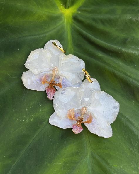 🤍 White Orchid Earrings are back in stock 🤍 Pandora Bracelet Designs, Orchid Earrings, Dainty Jewellery, 21 Birthday, Real Flower Jewelry, Pretty Gel Nails, Beautiful Bouquet Of Flowers, White Orchids, Jewelry Lookbook