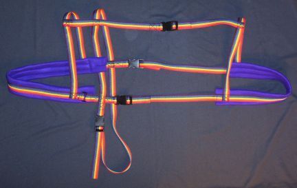 Rainbow w/ Purple Padding Harness Good advice about sewing your own harnesses for your goats #goatvet like this advice esp. re copyright Goat Transport, Goat Harness, Sled Dog Harness, Pack Goats, Dog Carting, Miniature Horse Tack, Goat Playground, Goat Pen, Nubian Goat