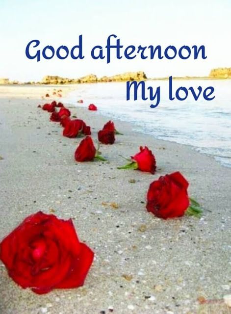 Good Afternoon Pictures Good Afternoon Quotes For Him, Good Afternoon Love Images, Good Afternoon Love, Good Afternoon My Love, Afternoon Pictures, Afternoon Blessings, Afternoon Love, Afternoon Wishes, Good Afternoon Images