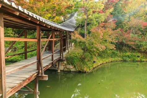 Matcha Japan, Kyoto Garden, Japan Holidays, Japanese Travel, Japan Itinerary, Japan Vacation, Kyoto Travel, Japan Travel Guide, Hidden Places