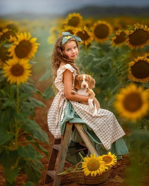 Sunflowers Pictures, Sunflower Mini Session, Sunflower Field Photography, Sunflower Photography, Sunflower Pictures, Farm Photo, Backdrop Ideas, Sunflower Field, Fall Photoshoot