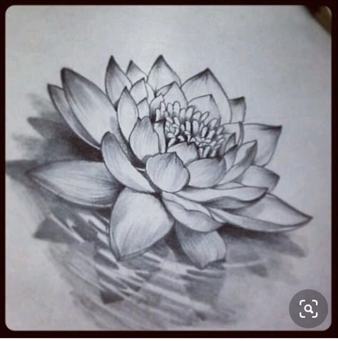 Simple Unique Tattoos, Lotus Flower Tattoos, Water Lily Tattoos, Beautiful Lotus Flower, First Human, Hindu Religion, Flower Tattoo Drawings, Watercolor Tattoo Flower, Lotus Flower Art