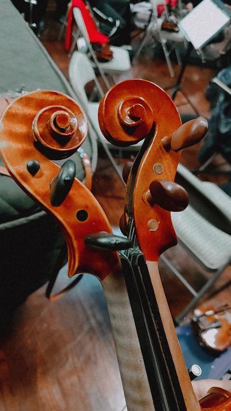 Viola Instrument Aesthetic Wallpaper, Violin Astethic, Viola Instrument Aesthetic, Viola Aesthetic Instrument, Violin Core, Violin Pictures, Violin Wallpaper, Orchestra Aesthetic, Violin Aesthetic