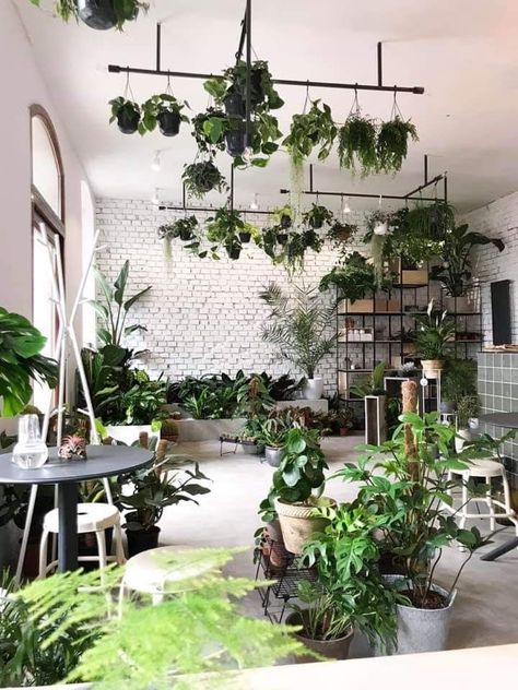 Rooftop Garden Urban, Hanging Plant Ideas, High Ceiling Decorating, Massage Therapy Rooms, Facial Cupping, Window Bars, Apartment Makeover, Garden Decor Ideas, Plant Ideas