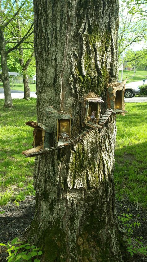 Fairy House Tree Stump Diy, Fairy Yard Decor, Enchanted Forest Yard Ideas, Cottagecore Fairy Garden, Woodland Fairy Garden Ideas, Large Fairy Garden Ideas Tree Trunks, Outdoor Fairy Garden Ideas Tree Trunks, Natural Fairy Garden Ideas, Large Fairy Garden Ideas Outdoor