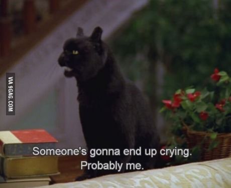 Exam week Salem Saberhagen, Salem Cat, Dior Girl, Film Quotes, Tv Quotes, Angkor, What’s Going On, Infp, Movie Quotes