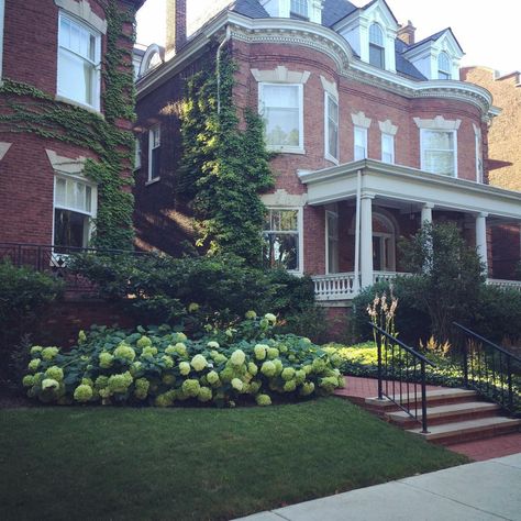 My New Apartment in Chicago's Hyde Park - Katie Considers Hyde Park Chicago, Robie House, Chicago Buildings, My New Apartment, Chicago House, Interior Design Fashion, Classical House, Condo Interior, Chicago Neighborhoods