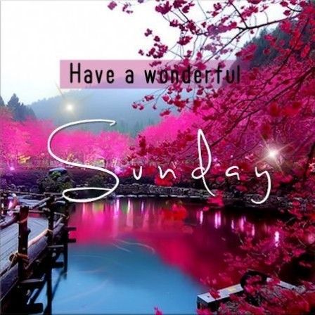 Have A Wonderful Sunday, Evening Quotes, Good Morning Saturday, Good Night Blessings, Sunday Quotes, God Bless, Good Day, Slot Online, Good Morning