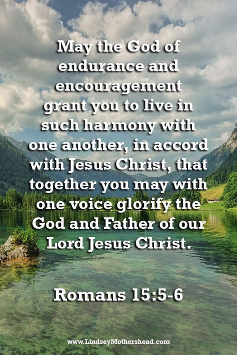 Romans 15 5, Bible Verses About Strength, Romans 15, Faith Encouragement, Christian Scripture, Encouraging Scripture, Prayer Verses, Jesus Is Life, Jesus Christus