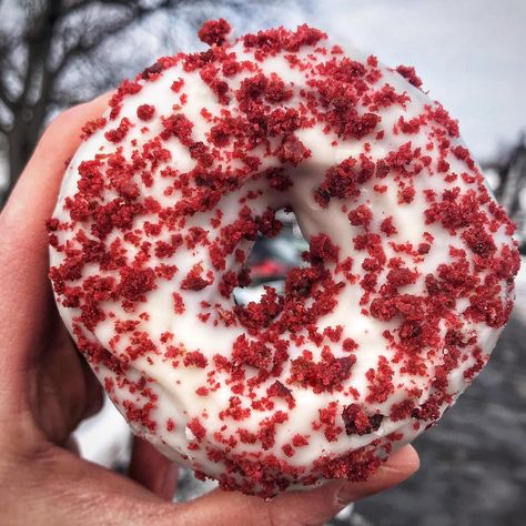 🍩 Original Food Reviews on Instagram: “The Red Velvet Donut👇 - The only way to stay warm when there’s a negative wind chill outside is to eat more donuts and gain some fat 🤣❄️ -…” Red Velvet Donut, Red Velvet Donuts, Boston Food, Candy Drinks, Wind Chill, Pretty Dessert, Yummy Comfort Food, Buzzfeed Food, Food Videos Cooking