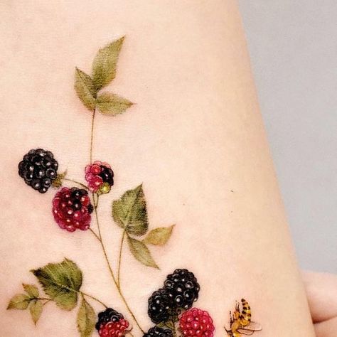 Elderberry Tattoo, Blackberry Bramble Tattoo, Mulberry Tattoo, Berry Tattoo Ideas, Blackberry Vine Tattoo, Autumn Tattoos, Berry Tattoo, Blackberry Tattoo, Thumb Tattoos