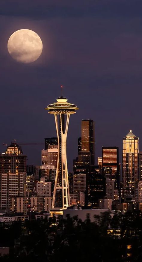 Seattle Wallpaper, Architecture Background, Background Texture, Space Needle, Wallpaper Pc, Black Wallpaper, Of Wallpaper, Seattle Skyline, Greys Anatomy