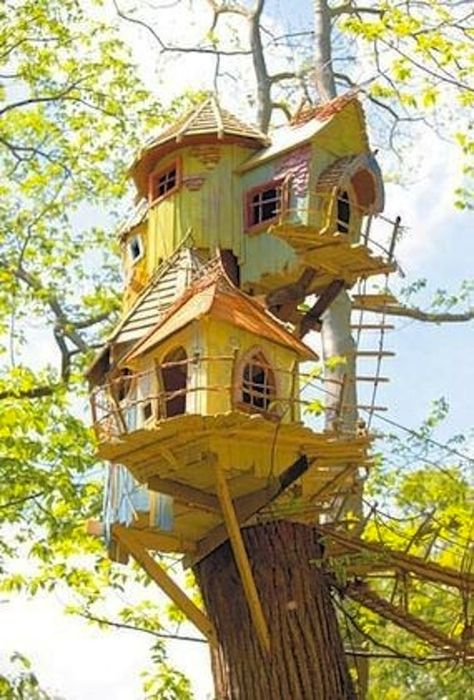 Awesome Tree Houses! Tree House Kids, Norfolk England, Cool Tree Houses, Magical Tree, Tree House Designs, Large Tree, House Built, Fairy Houses, Cool Stuff