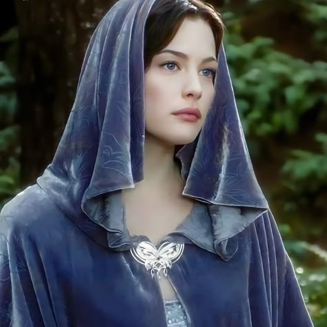 Arwen Costume, Arwen Undomiel, Legolas And Tauriel, Lotr Elves, Pop Culture Fashion, True Winter, Liv Tyler, European Women, Gandalf