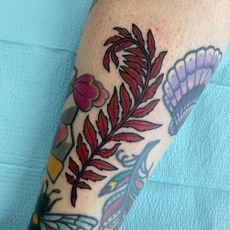 Red Fern Tattoo, Beauty Tattoo Ideas, Gap Filler Tattoo, Fern Tattoo, Beauty Tattoo, Tattoo Portfolio, Tattoo Reference, Nature Tattoos, Old School Tattoo