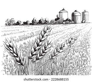 Farm wheat field landscape hand drawn sketch Vector illustration. Wheat Stalk Drawing, Covered Wagon Drawing, Wheat Field Tattoo, Farm Fields Landscapes, Wheat Field Illustration, Farm Landscape Drawing, Wheat Field Drawing, Wheat Sketch, Gene Tattoo